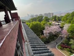 -四望岗公园