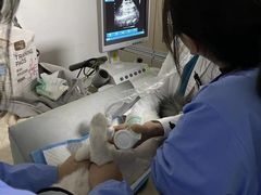 -宠颐生动物医院·小陆分院