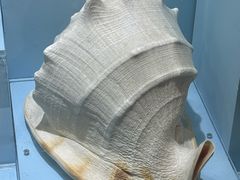 -温州博物馆