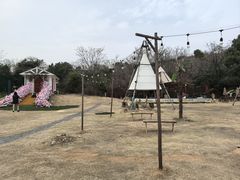 -白马涧龙池景区