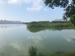 -艾溪湖湿地公园