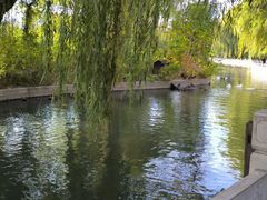 -莲花池公园