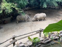 -长鹿旅游休博园