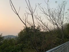 -佛山华盖山公园