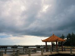-东郊椰林