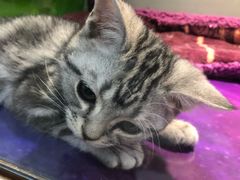 -乐宠宠物店(世纪金源店)