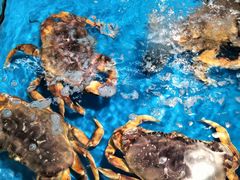 -大润发(康桥店)