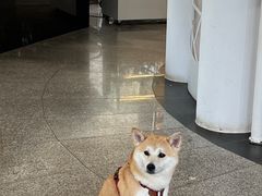 -莫内艺术岛海景咖啡