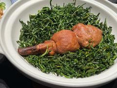 -兰庭玉树·老饭骨家宴(后海店)