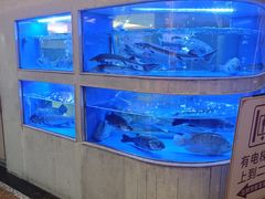 -骏丰酒楼(黄编店)