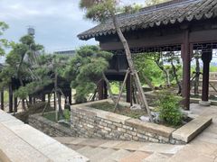 -广富林郊野公园