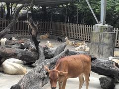 -广州长隆飞鸟乐园