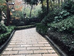 -天目湖涵田半山温泉