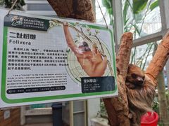 -正佳雨林生态植物园