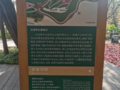 -金鸡山公园