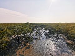 -北海金海湾红树林生态旅游区