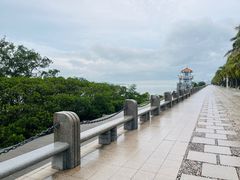 -深圳湾公园(南山区)