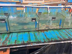 -蓝湾碧波·老字号·疍家非遗海上餐厅