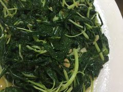 -肥信潮菜(科新路店)