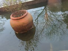 -梧桐花园餐厅(新城店)