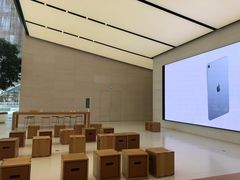 -Apple零售店(苏州店)