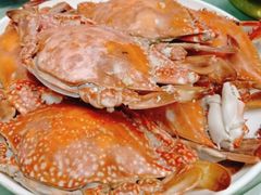 -渡海小渔村.老辈日照菜
