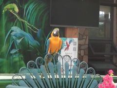 -南宫五洲植物乐园