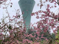 -狐尾山公园