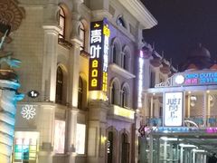 -青叶202都市餐厅(迪诺水镇店)