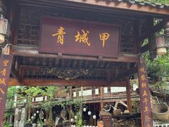 -青城甲(青城山店)