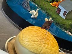 -邑家人·山水四合院