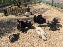 -南京金牛湖风景区