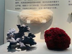 -湖南省地质博物馆