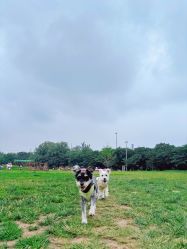 -268童话露营农场·烧烤·团建