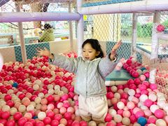 -万达广场(芜湖镜湖店)