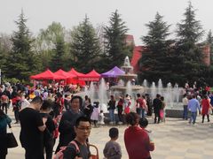 -洛阳郁金香牡丹园