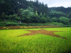 -韶山毛泽东同志故居