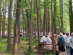 -采石矶景区