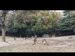 -上海野生动物园