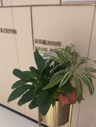 -广东韩妃整形外科医院