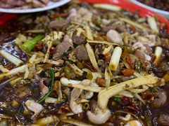 -东吴霸王兔(松青路店)