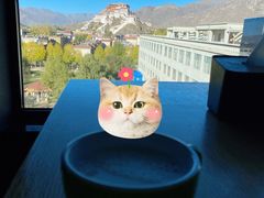-平措康桑·和牛自助观景餐厅(布达拉宫店)