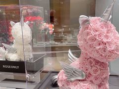 -ROSEONLY诺誓(磐基中心店)