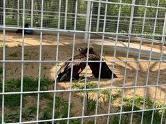 -秦皇岛野生动物园