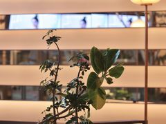 -桂满陇·海市蜃楼·黑金(国金店)