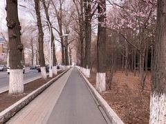 -长春市南湖公园