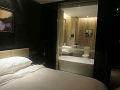 -常州环球恐龙城维景国际大酒店