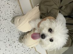 -瑞派康怡24h宠物医院·犬猫医疗中心·微创绝育(瑞景分院)
