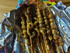 -十里铺铁板鱿鱼