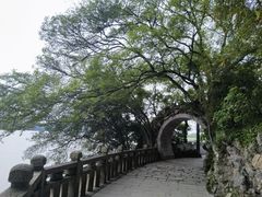 -江心屿景区